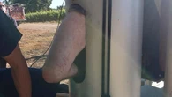 US firefighters rescue man stuck inside vineyard fan