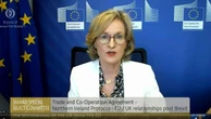 EU would ‘react firmly’ to UK unilateral action, Irish commissioner says