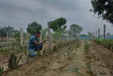 ‘I fear people will go to war over water’: as wells run dry, farmers struggle to survive in Bangladesh