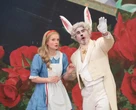 Alice’s Adventures in Wonderland review – Lewis Carroll’s familiar characters move in from the garden
