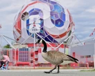 It’s World Cup week – will the hope, memes and dreams be as good as it gets?