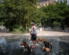 Europe’s heatwave drives electricity prices to new highs as demand soars