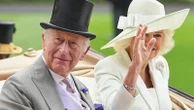 What King Charles' historic tax disclosure reveals and what it hides