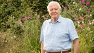 Sir David Attenborough celebrated for ‘lifetime of extraordinary service’