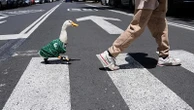 Meet Merlin: The duck that became the World Cup's viral mascot