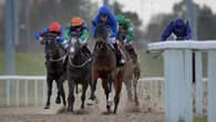 Ex-racecourse tenant owes £22m, administrator says