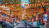 Netheralnds: Marktweg in The Hague becomes iconic orange street for World Cup fever