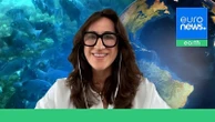'It belongs to all of us': How the High Seas Treaty is shaping global waters