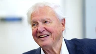 New species of wasp named after Sir David Attenborough for his 100th birthday