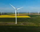 Weakening UK net zero policy would damage economy, chief climate adviser says