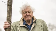 Prince of Wales celebrates David Attenborough’s ‘profound’ influence