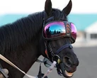 Klammer to see Gold Cup hope Trawlerman after revelation he wears ski goggles