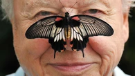 In Pictures: Sir David Attenborough’s charming friendship with animals