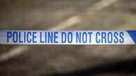 Man arrested on suspicion of murder after serious assault in Essex