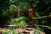 Where is I'm a Celebrity filmed? Inside the jungle makeover