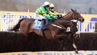 Festival hero Jagwar to return in Paddy Power Gold Cup