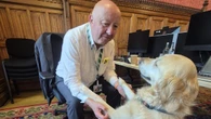Starmer wishes Jennie the guide dog a happy birthday in the Commons