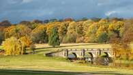 National Trust says autumn colour could be ‘mixed bag’ after wet year