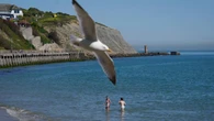 Government may have failed to comply with law over marine target, watchdog says