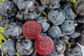 M&S's brand new 'superfruit' could boost your gut heath and immunity