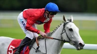 Estrange seeking Ascot compensation after missing Arc date