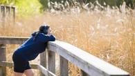 National Trust sees 39% surge in young people joining as members