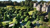 Gardeners begin mammoth six-month trim of world’s oldest topiary