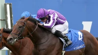 Delacroix given go-ahead for Champions Day run