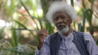 Nigeria’s Nobel-winning author Wole Soyinka says his US visa has been revoked