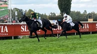 Cheltenham Festival repeat a priority for Pardubicka hero Stumptown