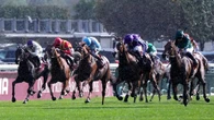 Arc hero Daryz is a dream come true for Francis-Henri Graffard