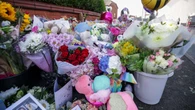 ‘Difficult’ to understand how one person caused so many injuries, inquiry hears