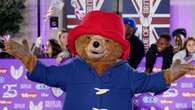 Nearly 2,000 fake Paddington Bear items seized in trading standards raids