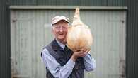 Pumpkins, onions and parsnips on display at giant vegetables competition