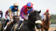 Champions Day date the first choice for Sprint Cup victor Big Mojo