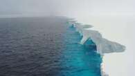 Iceberg twice the size of Greater London runs aground near South Georgia