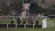 Amateur riders suspended following Plumpton confusion