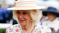 Queen delights racegoers but has hopes of winning dashed at York Racecourse