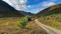 Nature restoration in Highlands facing long-term challenges, communities warn