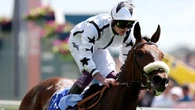 Long Distance Cup option open for Al Qareem