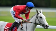 O’Meara hoping Estrange can make Ascot mark