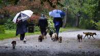 More rain as nation set for unsettled week and colder temperatures