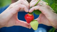 Consumers set to eat fresh British-grown strawberries at Christmas