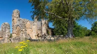 Charity searches for descendants of rioters involved in 1525 uprising