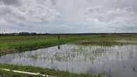 Pioneering mapping data shows 80% of England’s peatlands are dry and degraded