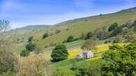 Cutting nature-friendly farming budget would be act of self harm, say Tory MPs