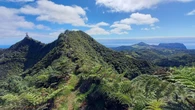 Lemurs, eagles and St Helena’s cloud forest receive UK conservation funding