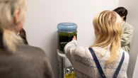 Blue-green algae from Lough Neagh displayed during Belfast Photo Festival
