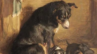 Paintings once owned by Rolling Stones drummer to be sold in dog art auction
