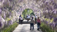 UK set for ‘classic’ spring weather, including frosty nights and warm days